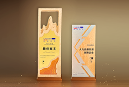 Ezpay(中国)国际一举斩获“2024年度中国区最佳雇主”等多项大奖