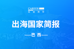 Ezpay(中国)GO GLOBAL | 巴西国家简报