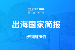 Ezpay(中国)GO GLOBAL | 沙特阿拉伯国家简报